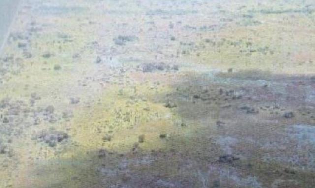 Fazenda em POCONÉ - MT, Pastagens p/ 30.000 cabeças - Foto 6