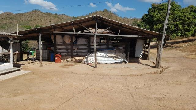 Lindíssima Fazenda de 168 Hectares - Terra Engorda Boi e Criação de Peixes - Foto 19