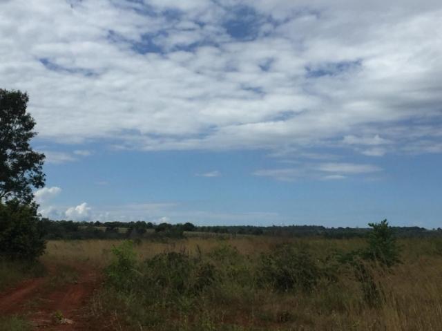 FAZENDA A VENDA EM MATO GROSSO (Dupla Aptidão) - Foto 16