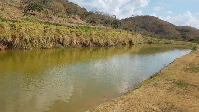 Lindíssima Fazenda de 168 Hectares - Terra Engorda Boi e Criação de Peixes - Foto 2