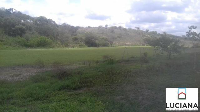 Área em Chã Grande com bastate água (Cód.: 9f2e3e)