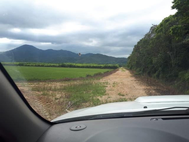 Fazenda Linda para Plantio de Arroz, Aceita parte Parcelado - Foto 3