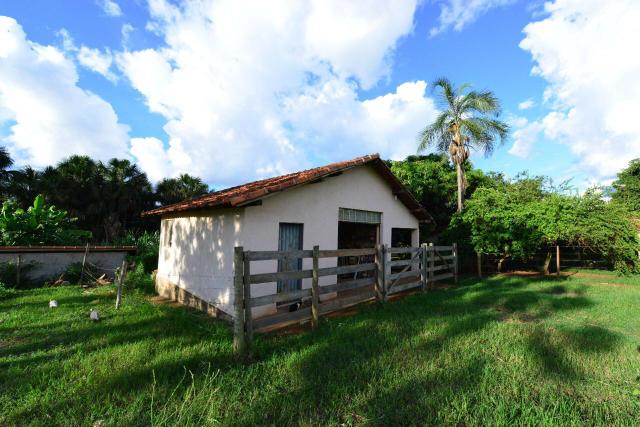 Chácara 1,5 alqueires município Morrinhos - Foto 19