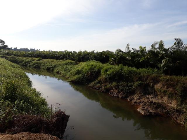 Fazenda Linda para Plantio de Arroz, Aceita parte Parcelado - Foto 20