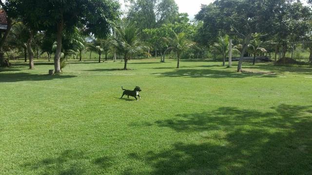 Chacara na beira do lago p/ eventos - Foto 14