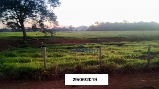 Área à venda, 290400 m² por R$ 1.200.000,00 - Zona Rural - Nazario/GO - Foto 5