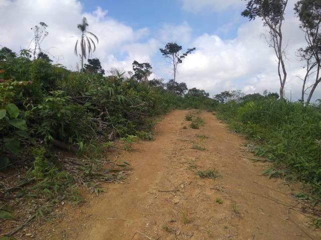 Realize seu Sonho Terreno 500 m² - Foto 2