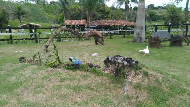 Fazenda - Foto 4