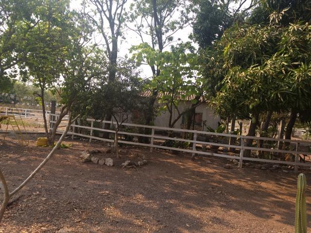 Chácara 2.5 ha, linha 16 cinturão verde - Foto 17