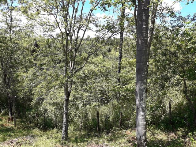 Chácara Taquaraçu de Minas *Ótima localização* - Foto 17