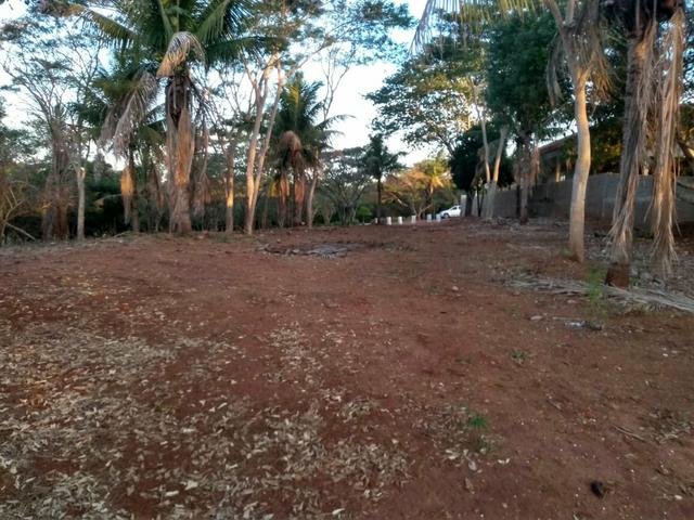 Vende se lote de 2920m no Rio Panema - Foto 4