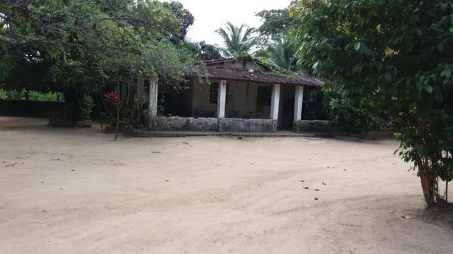 Chácara paraiso - Foto 16