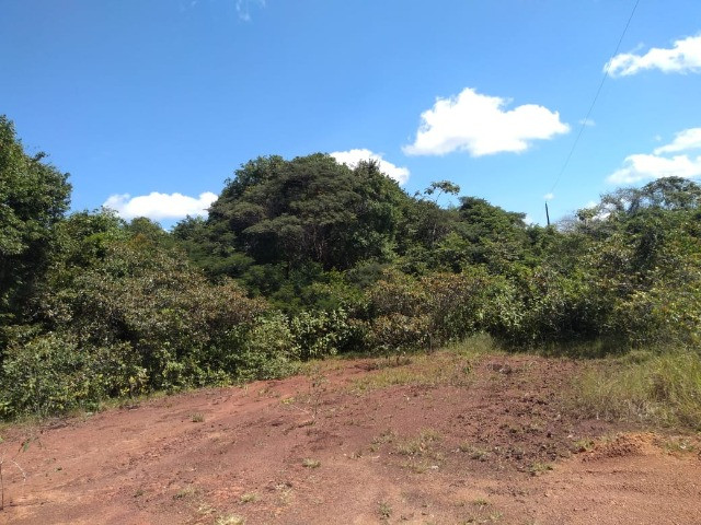 50 hectares na estrada de igarapé açu por 170 mil reais documentada - Foto 3