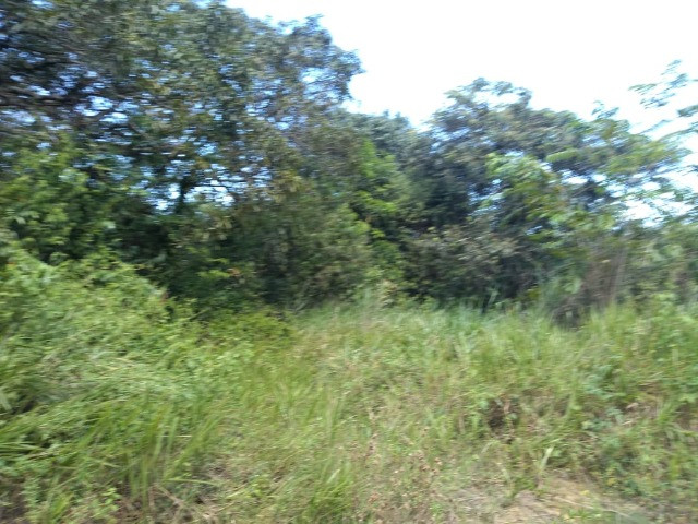 50 hectares na estrada de igarapé açu por 170 mil reais documentada - Foto 2