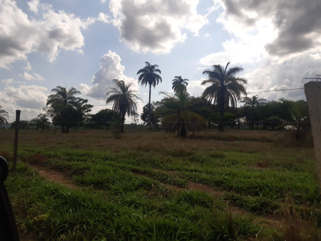 Lotes comerciais próximo ao bairro Iporanga  - Foto 3