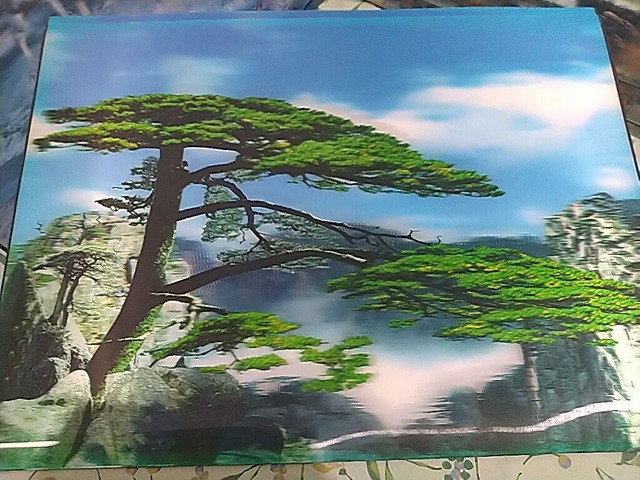 Quadro decoração 3d - Foto 4