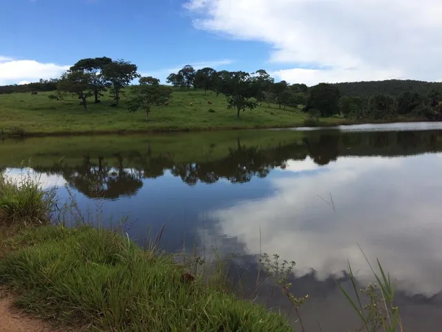 Fazenda 96 alq em Goianesia-GO