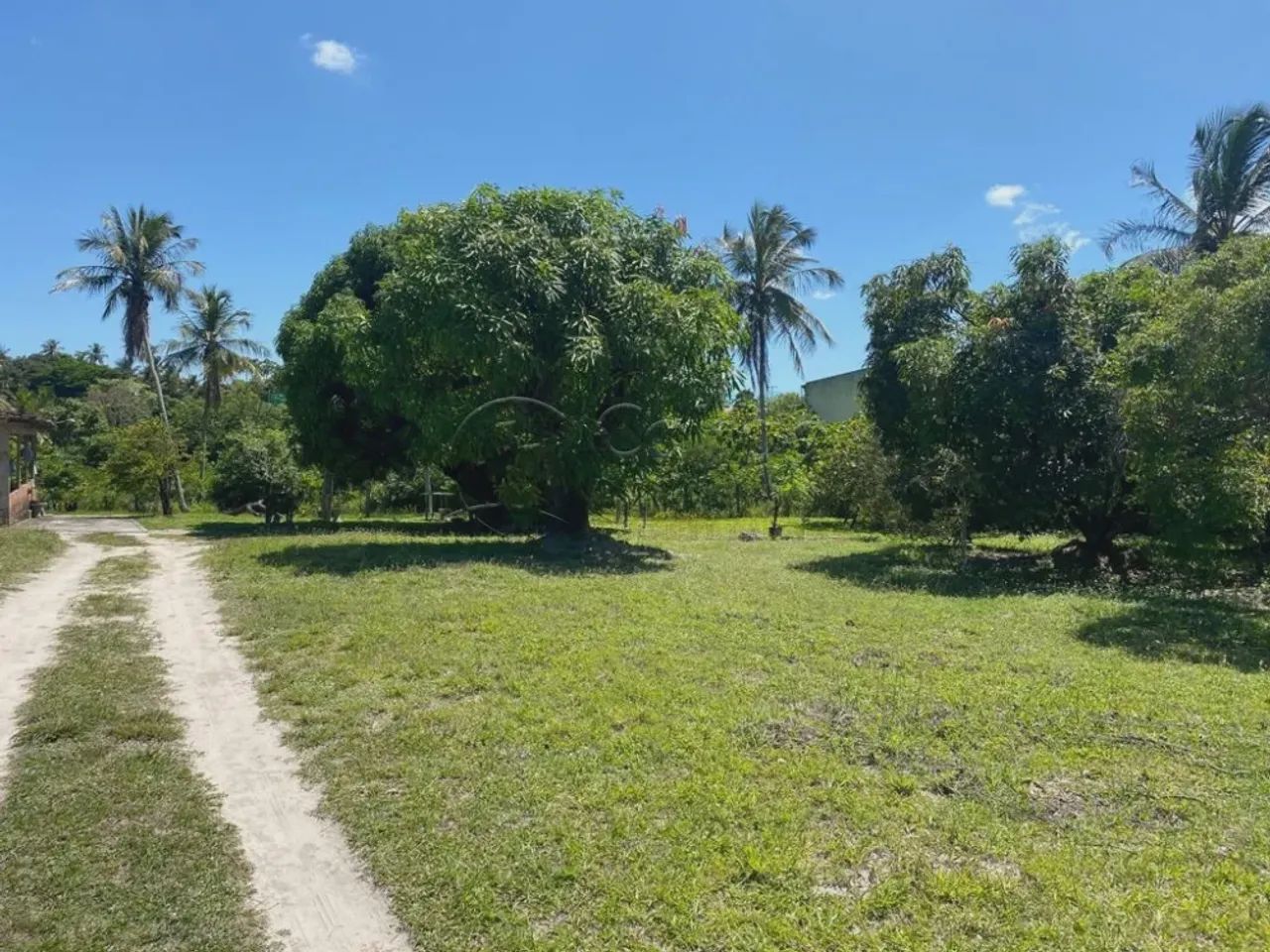 Sitio em área urbana no Marcos Freire III