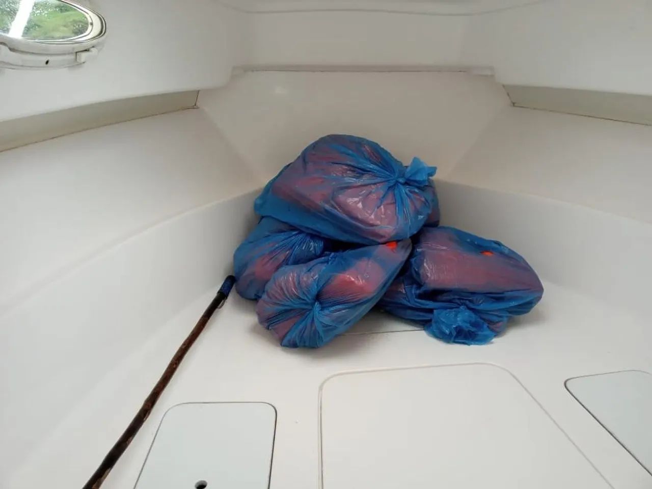 Wellcraft WA 260 - Foto 4