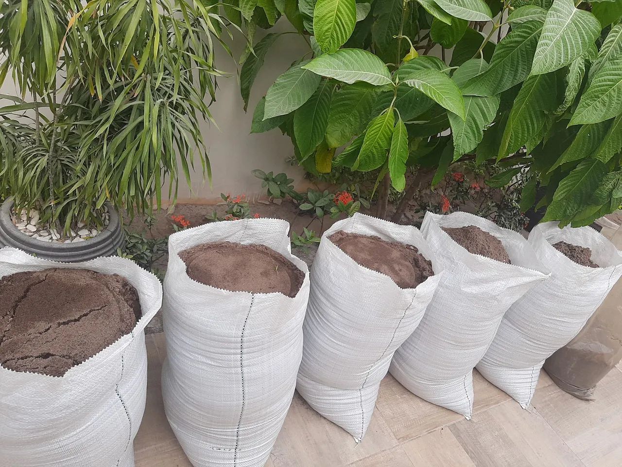 Mais de seis sacos de areia média! Você leva tudo por apenas 40 reais. Urgente, desapegar! - Foto 2