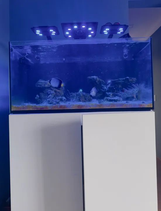 AQUARIO MARINHO COMLETO - Foto 2