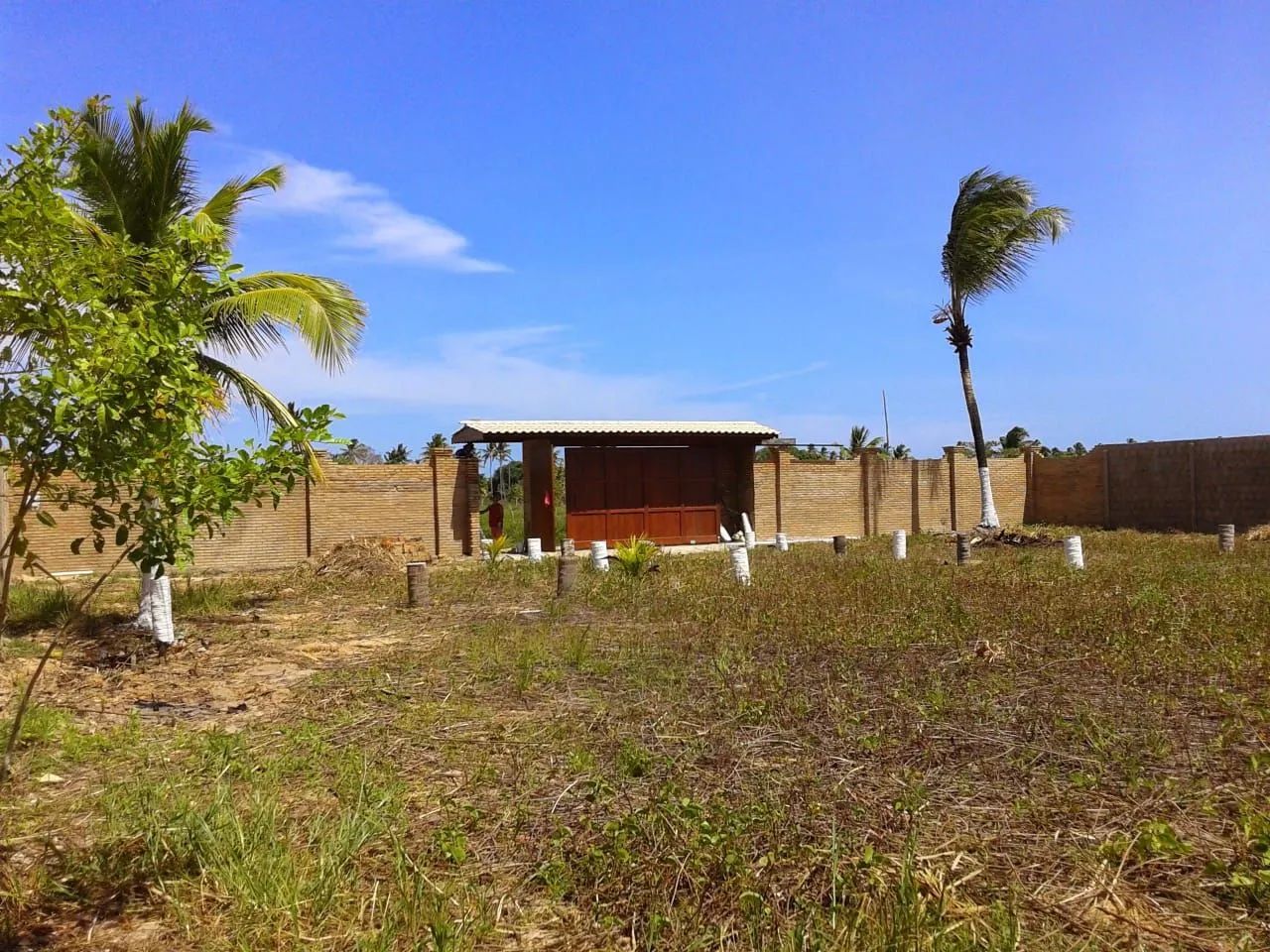 foto - Maceió - Não informado