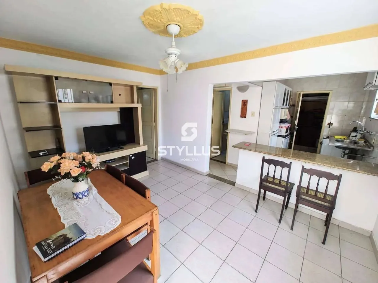 Del Castilho | Apartamento 2 quartos