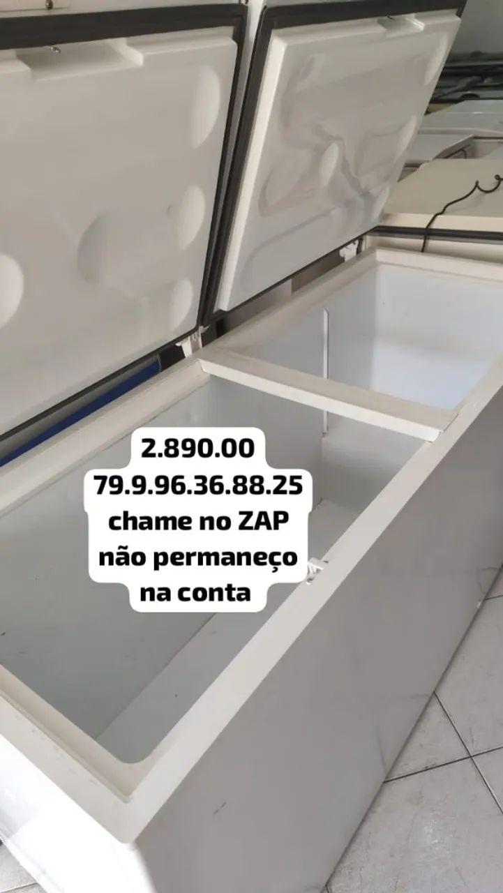 Freezer Industrial 2 Portas