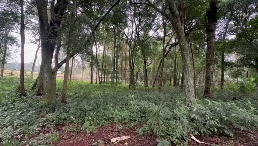 Vendo Chacrinhas de 1.000m2 próximo ao aeroporto