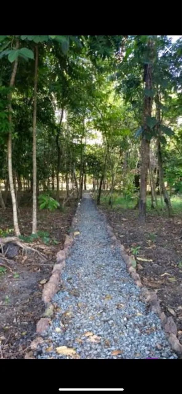 chacara no João de Barro - Foto 5