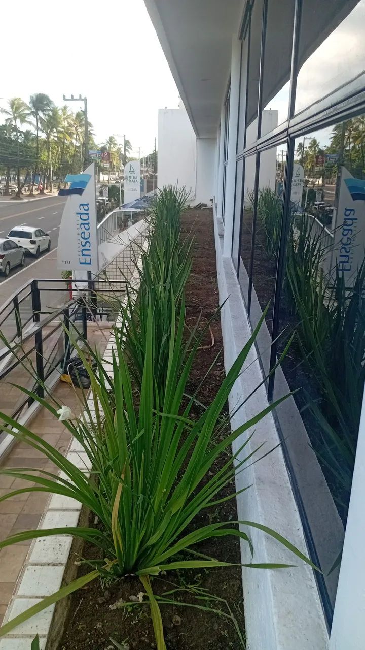 Jardineiro disponível  - Foto 2