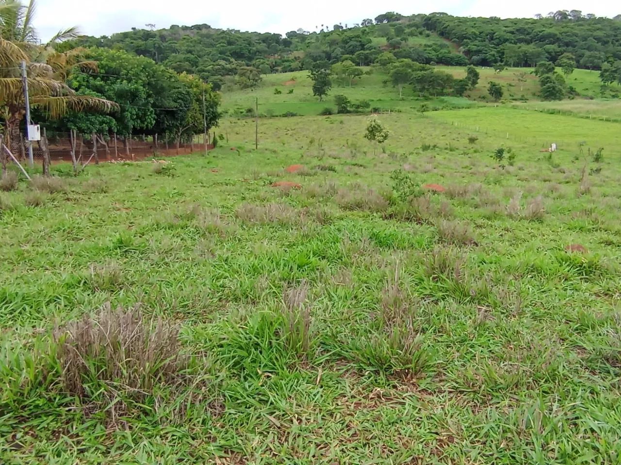 Sitio 1 Hectares Irrigado,Poço Artesiano/Caixa D'Água 50.000 Litros..
