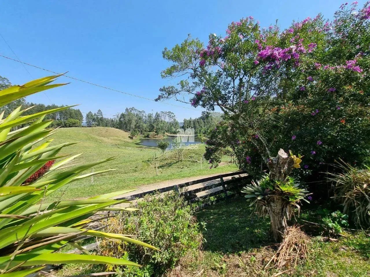 Fazenda com reflorestamento de Pinus e Eucaliptos - Foto 3