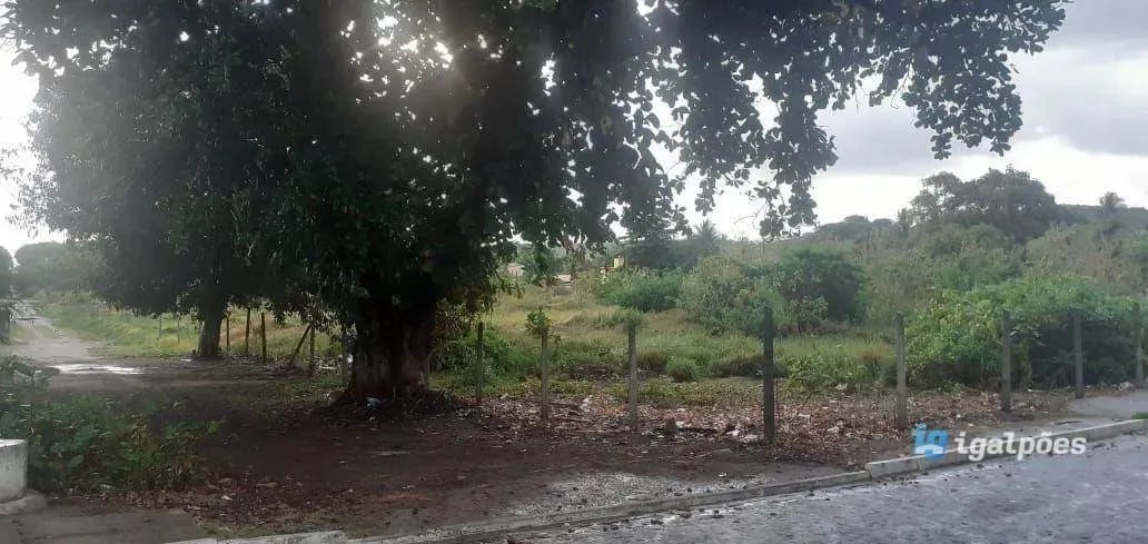 Área com 8.248 m² próximo ao Mar em Maria Farinha, Paulista - PE - Foto 3