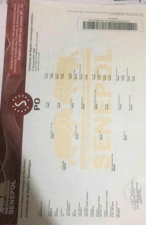 TOURO SENEPOL PO REGISTRADO WSENEPOL - Foto 6