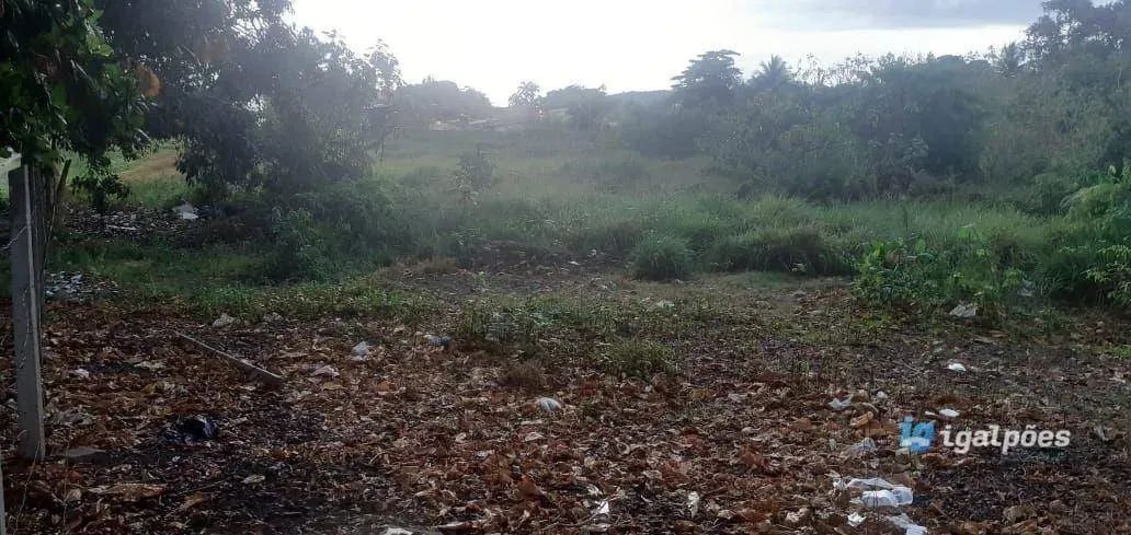 Área com 8.248 m² próximo ao Mar em Maria Farinha, Paulista - PE - Foto 5