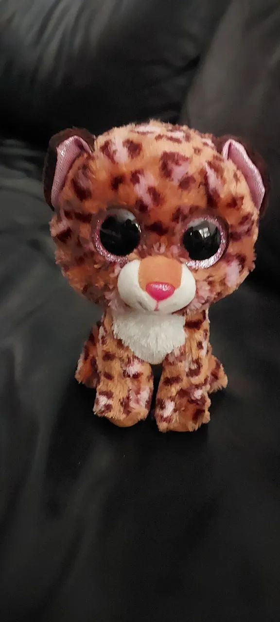 Beanie boo olhudos 