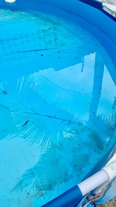 Piscineiro