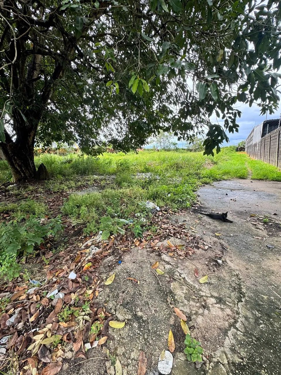 Excelente Terreno na Avenida do Turismo 2.200M2 - Foto 4