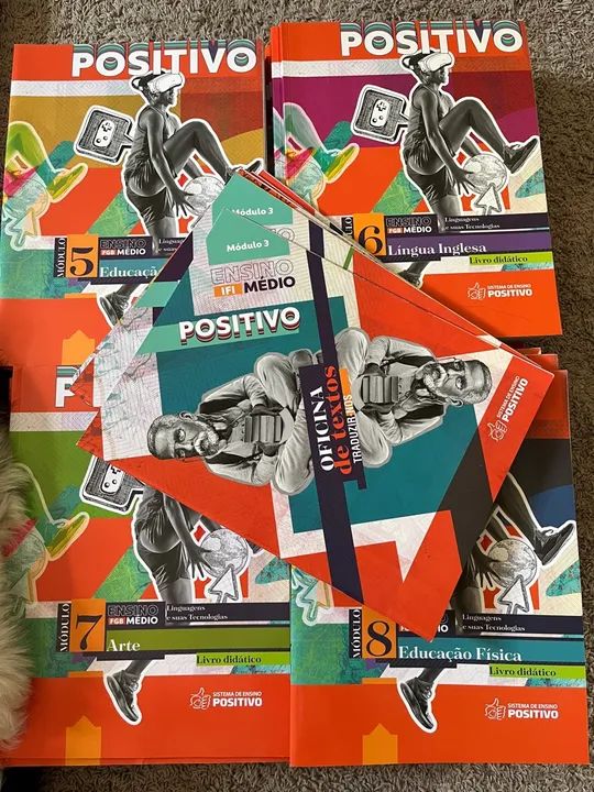Livros Didáticos Positivo Ensino Médio