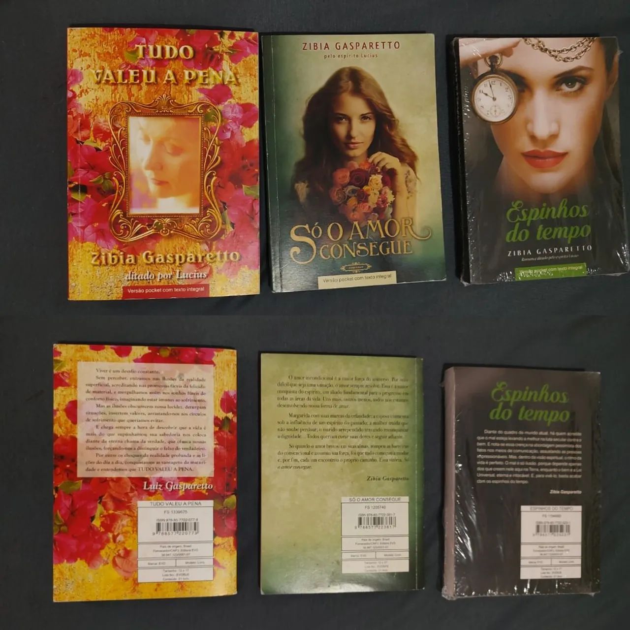 5 Livros Zíbia Gasparetto 