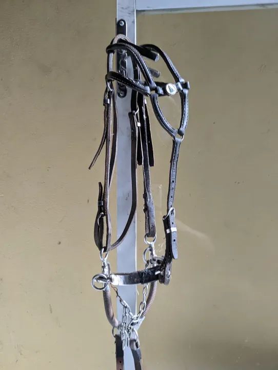 Cabeçada de vaquejada completa 2 rédeas + freio professora + cabeçada de couro legítimo 