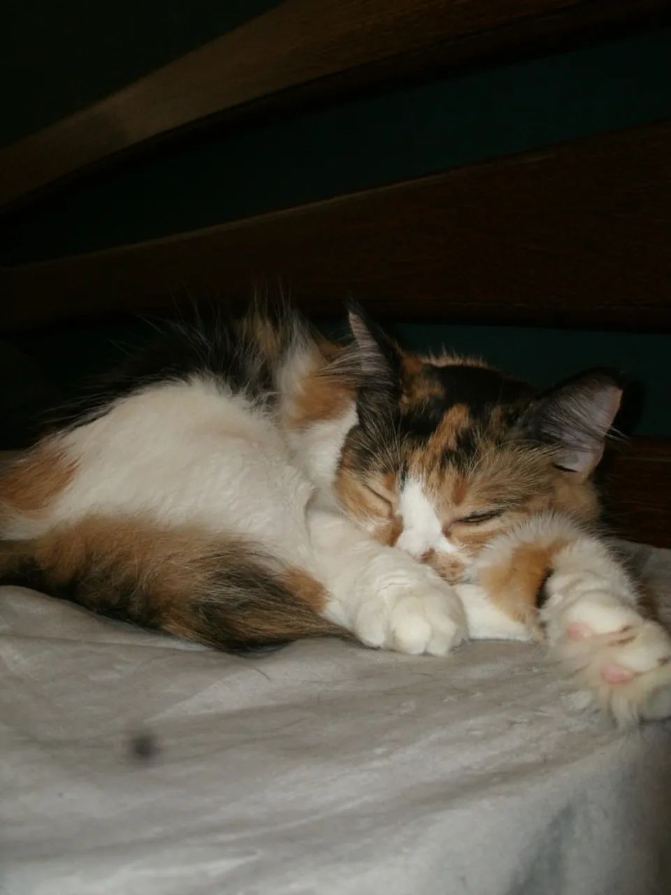 Câmera Ge A1250 12.2mp Zoom 5x - Foto 3