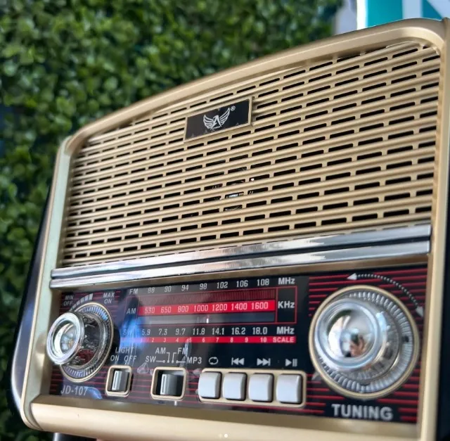 Caixa De Som Rádio Retrô Lelong Com Entrada Usb, Sd.