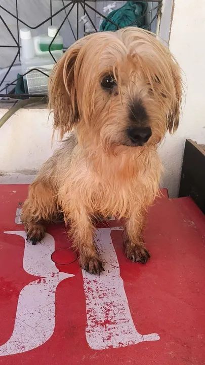 Xbox Series S - Novo - Foto 3