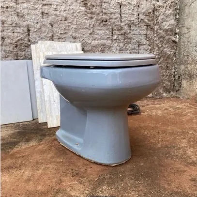 Vaso sanitário cinza