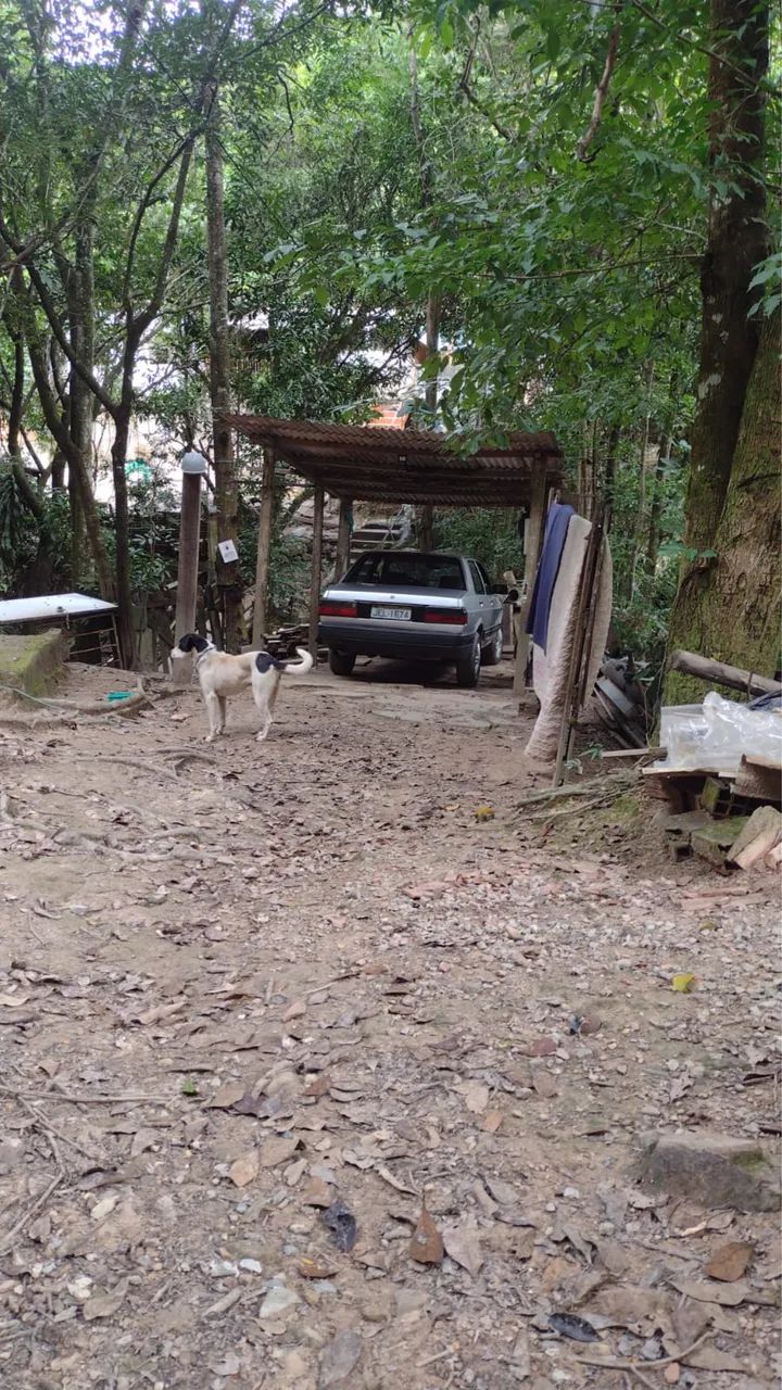 Vendo parte da minha chácara, no Sansão, Sobradinho  - Foto 3