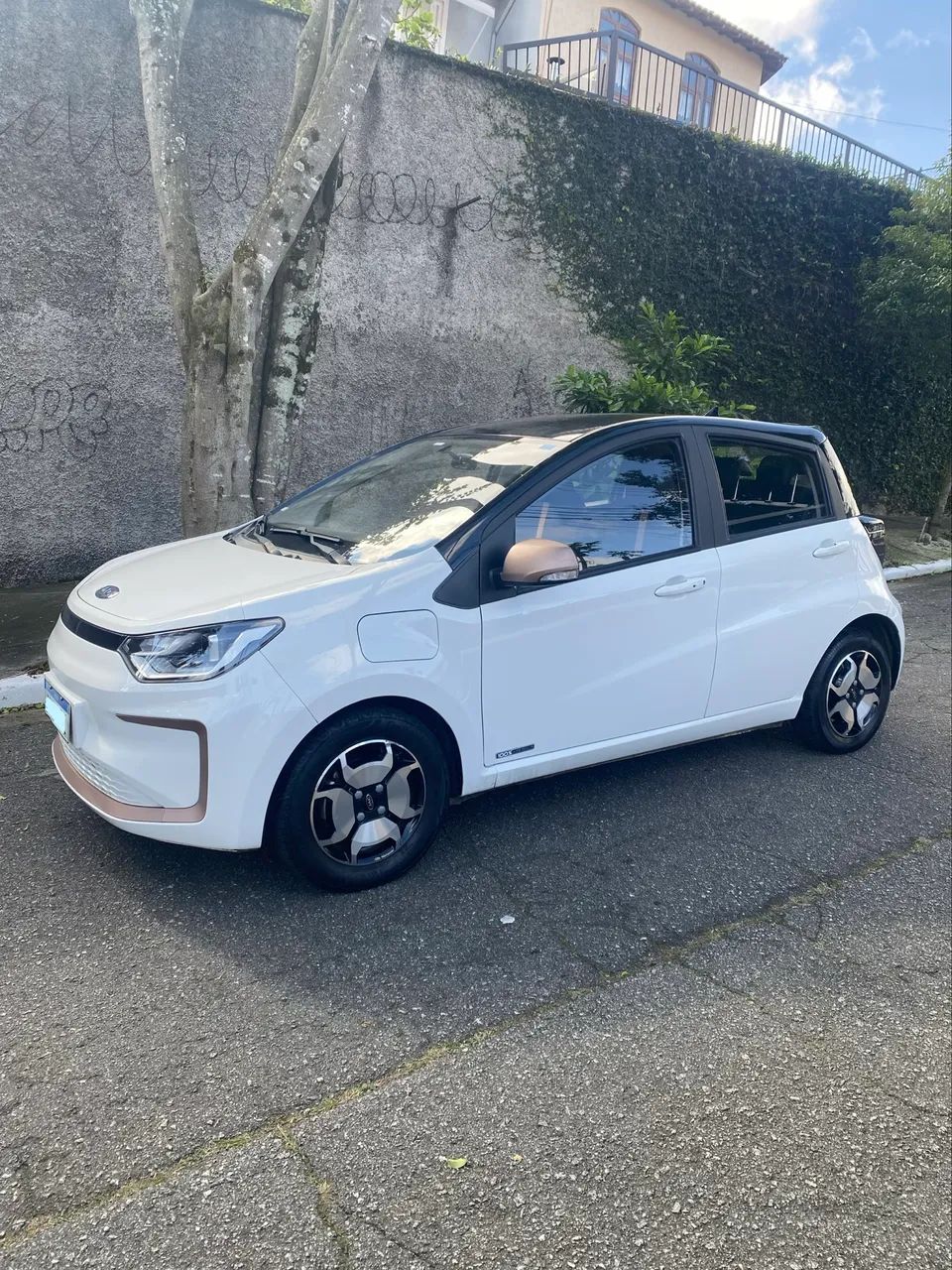 JAC E-JS1 62cv 5P Aut. (elétrico) 2025 - Foto 2