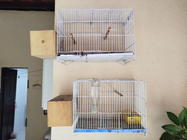 Gaiolas 