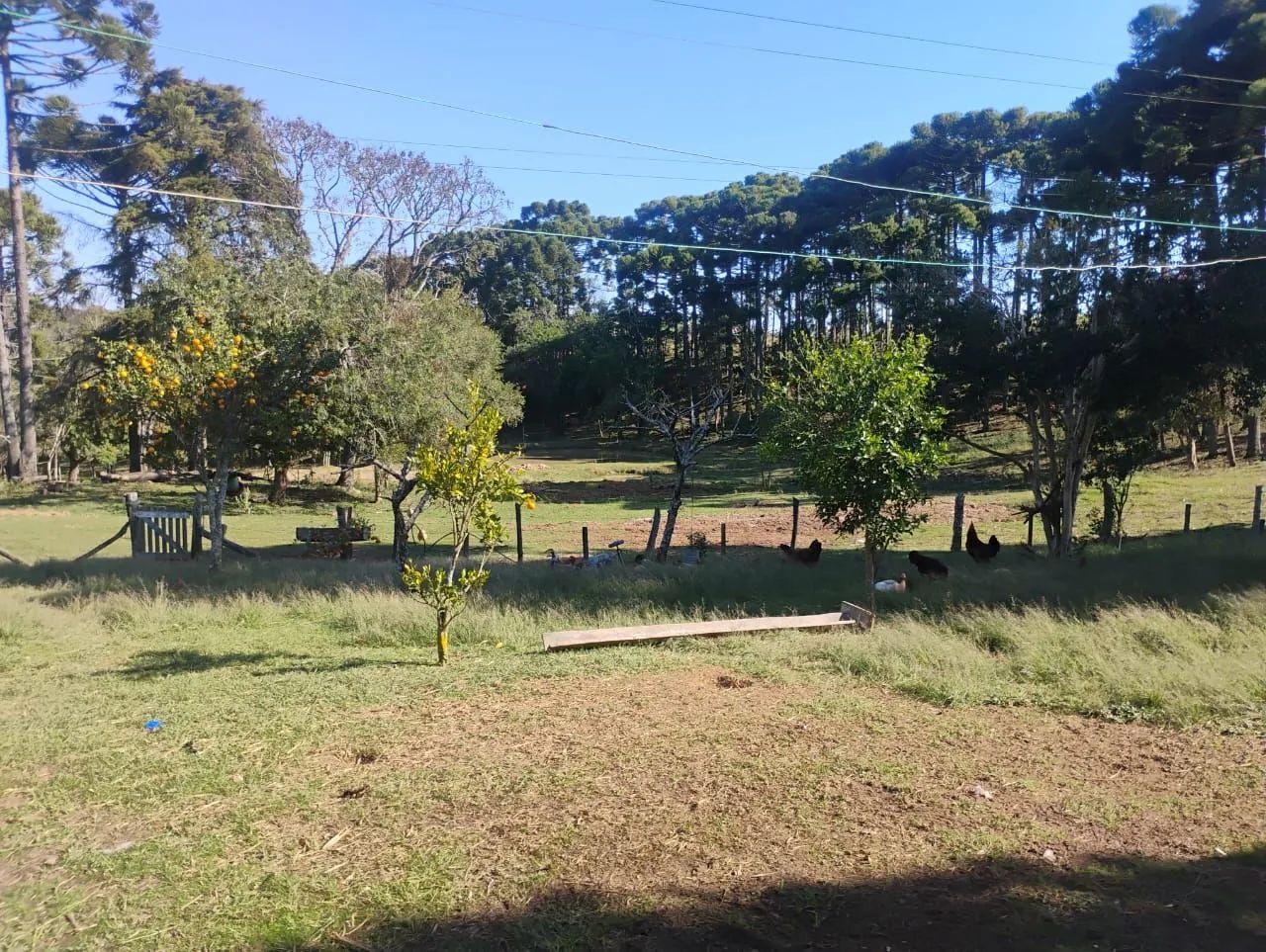 CHACARA A VENDA NA CIDADE DE CONTENDA - Foto 2